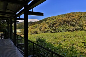 Property grounds - The Rainforest Ecolodge Sinharaja (Deniyaya)