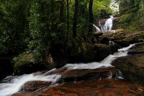 Miscellaneous - The Rainforest Ecolodge Sinharaja (Deniyaya)