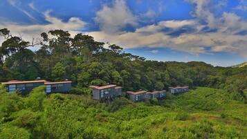 Une série de cabanes en bois sur pilotis, entourées d’une forêt dense, sous un ciel dégagé.