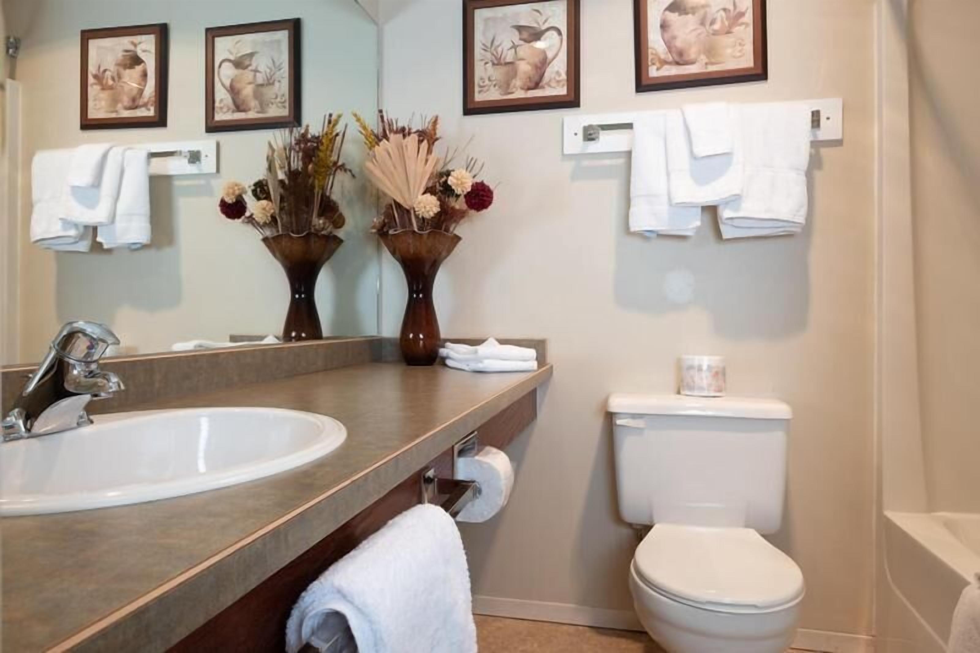 combined shower/bathtub, free toiletries, hair dryer, towels