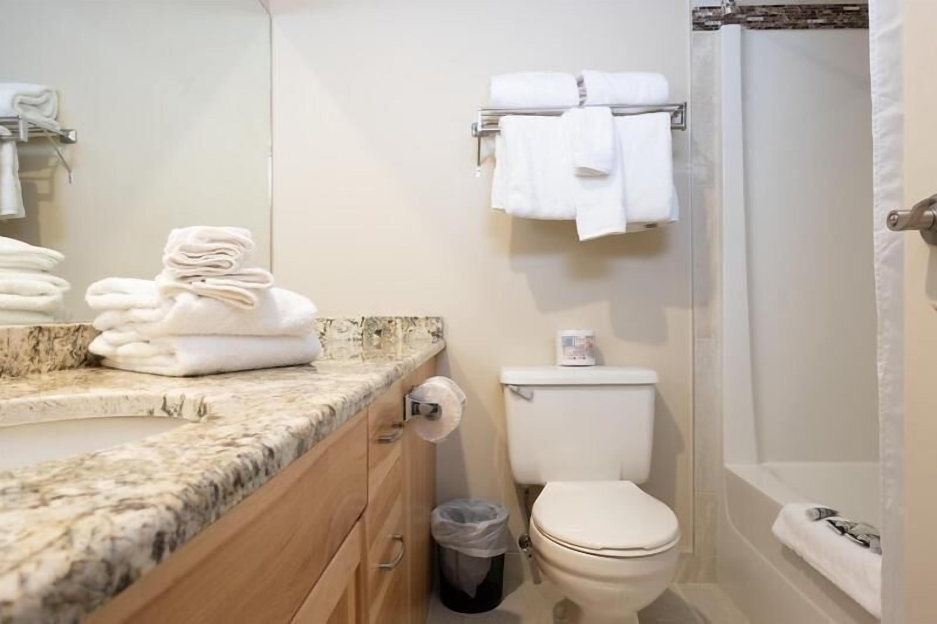 combined shower/bathtub, free toiletries, hair dryer, towels