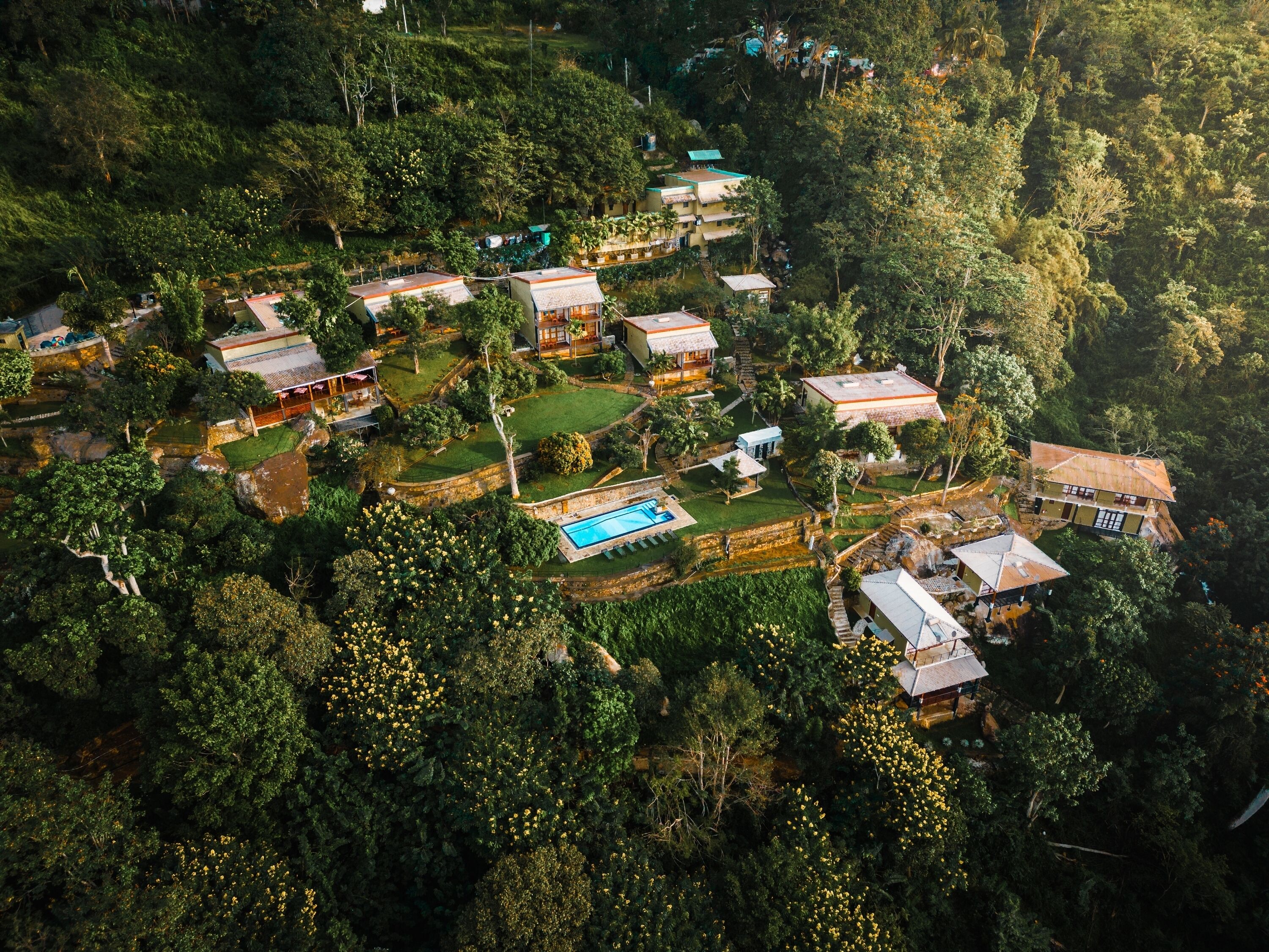 An aerial view of a residential area with multiple houses surrounded by dense greenery.
