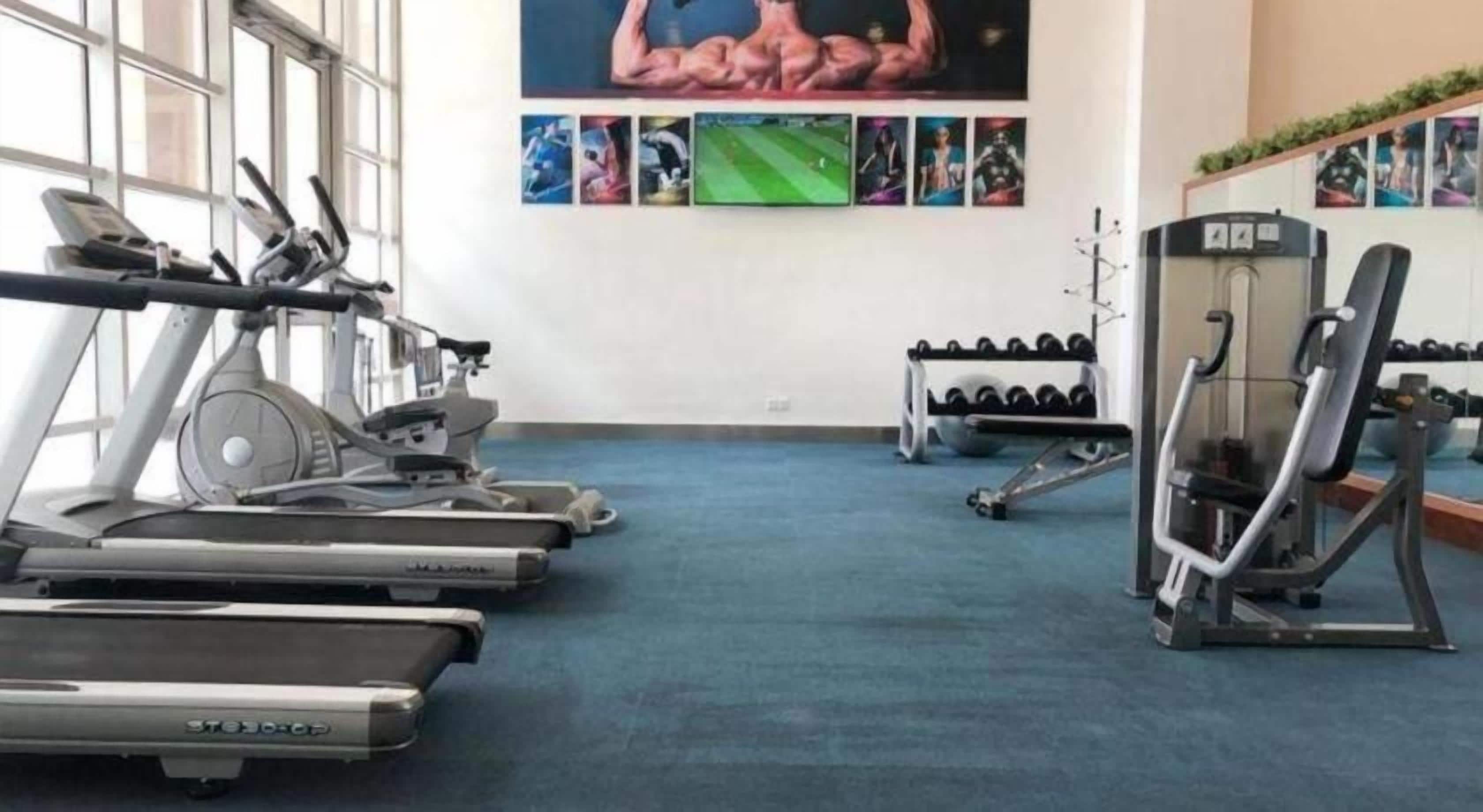 Uma academia com esteiras, aparelhos de musculação e halteres.