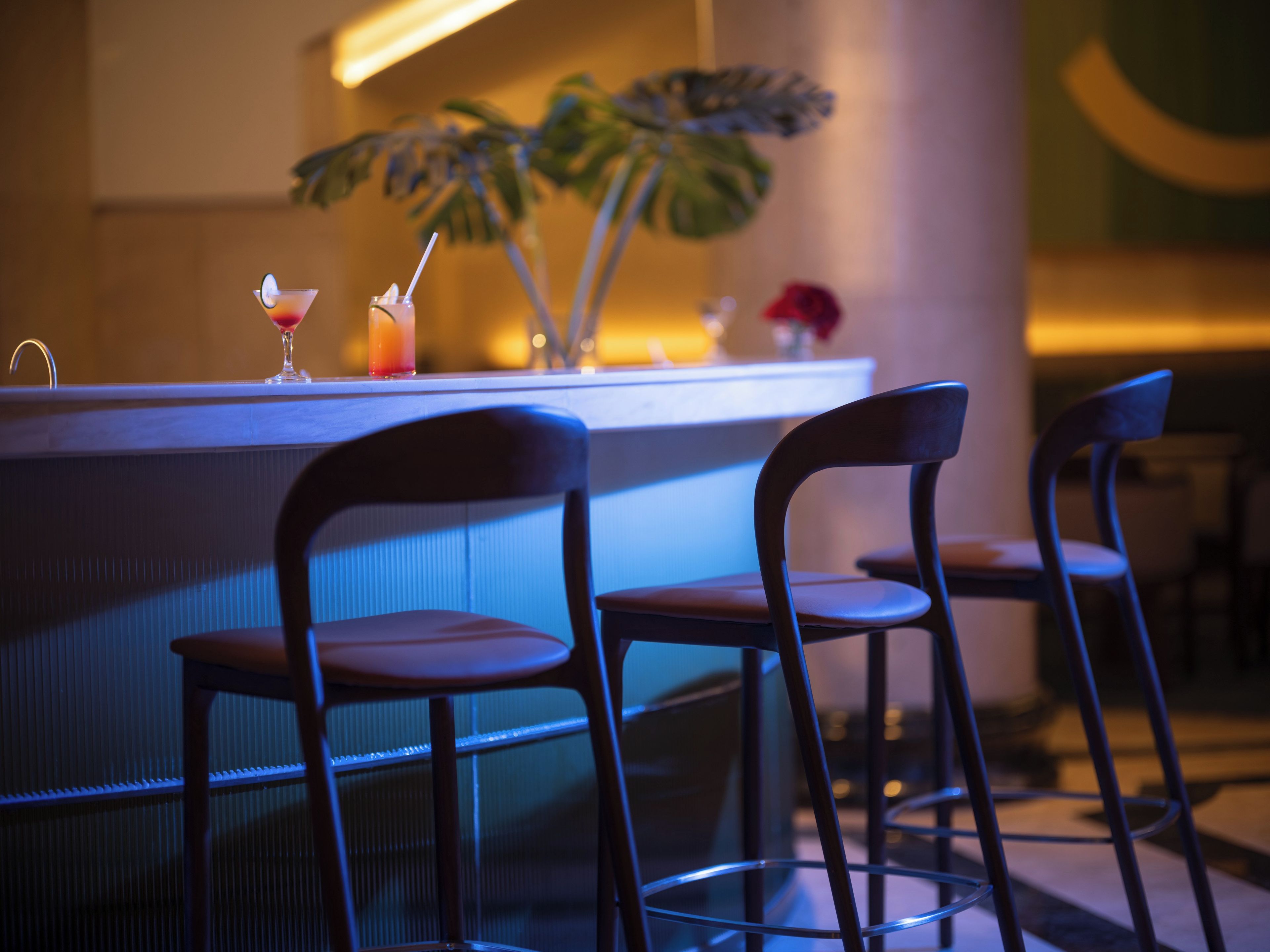 A bar area with a counter, bar stools, and a potted plant.