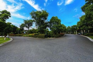 Uma estrada sinuosa com árvores e céu claro.