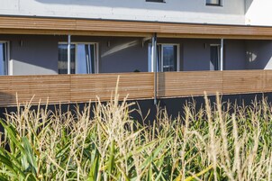 A modern building with a flat roof, large windows, and a wooden deck area.