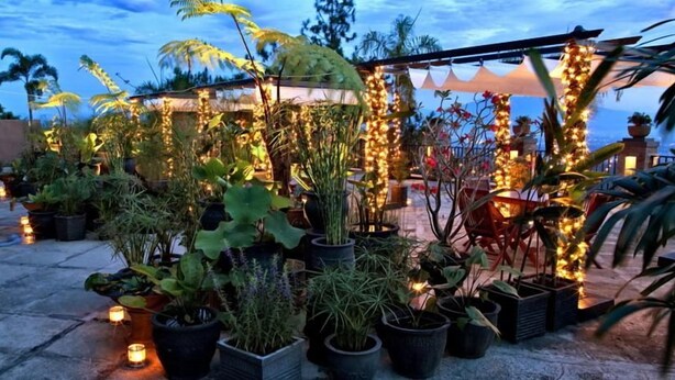 Un jardín en la azotea con plantas en macetas y una estructura cubierta.