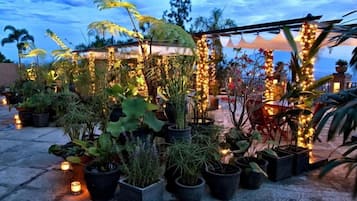 Un jardin sur le toit, agrémenté de plantes en pot et d’une structure formant une sorte de tonnelle.