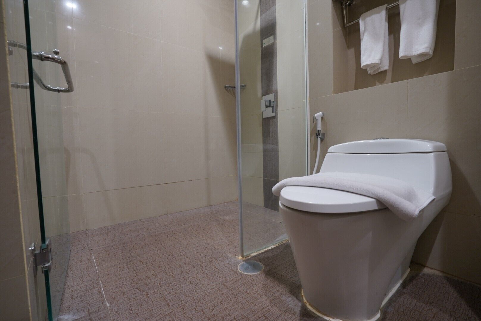 Een moderne badkamer met een douchecabine van glas, een toilet en een handdoekrek met handdoeken.