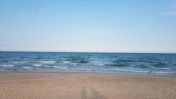 On the beach