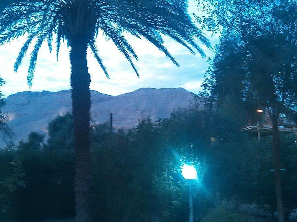 Photo - Pharaohs Hotel