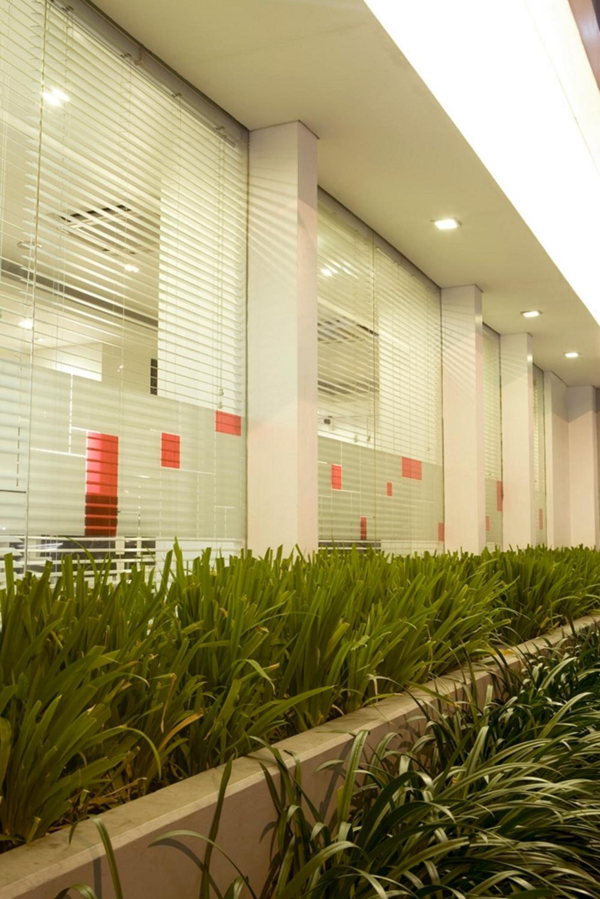 Un edificio moderno con amplias ventanas y una fila de plantas verdes al frente.