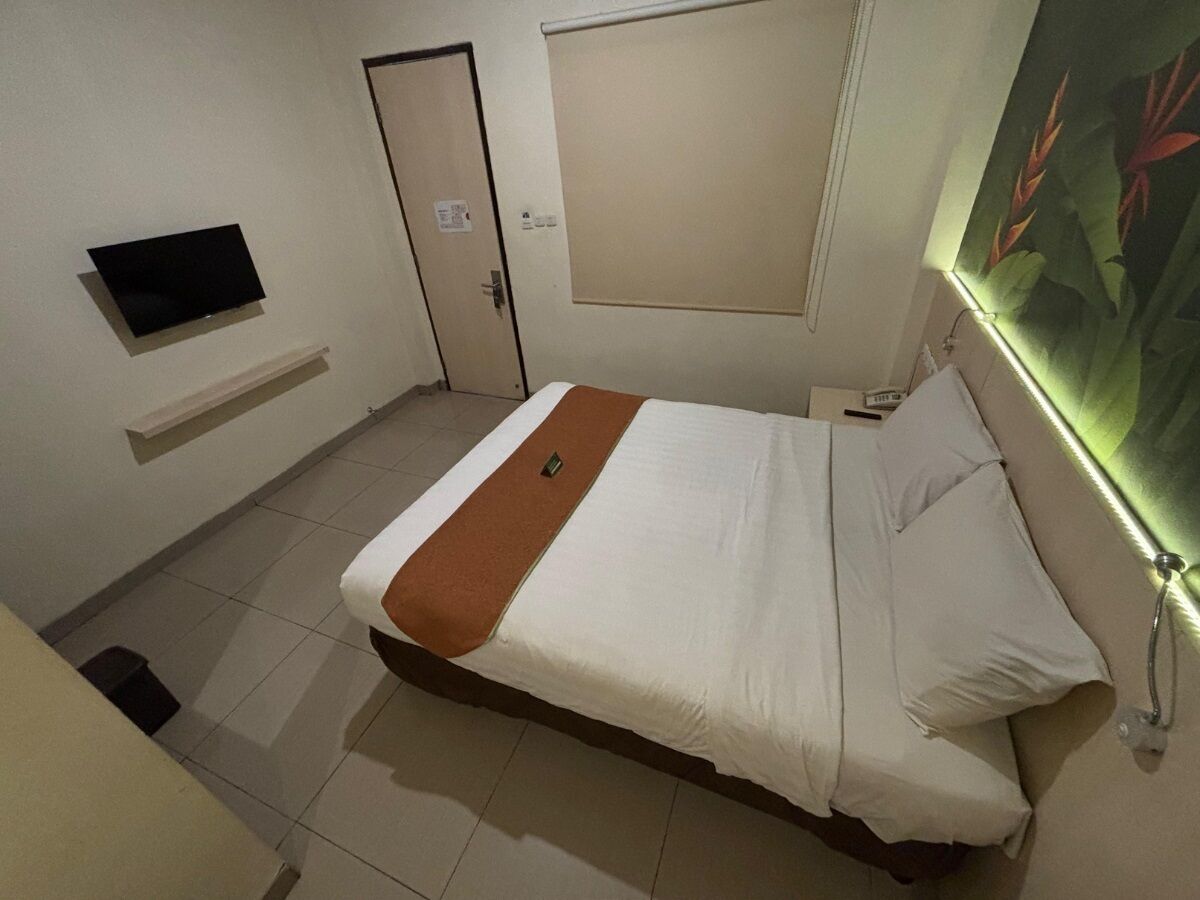 A hotel room with a bed, a TV mounted on the wall, a door, and a window with a plant.