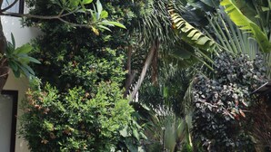 Un sendero estrecho bordeado por exuberante vegetación tropical y un edificio de fachada blanca.