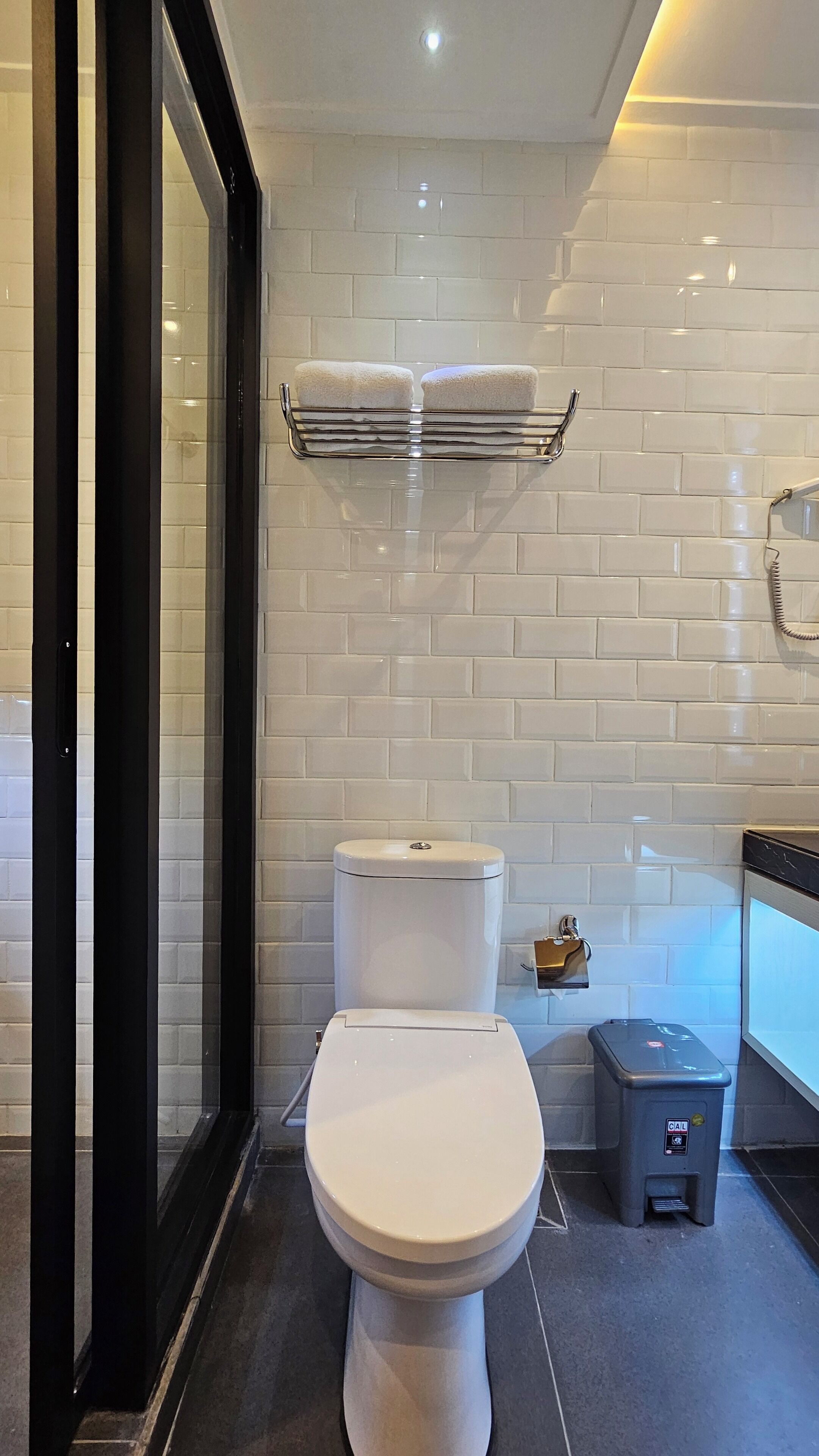 A modern bathroom with a white toilet, a glass shower enclosure, and a metal towel rack.