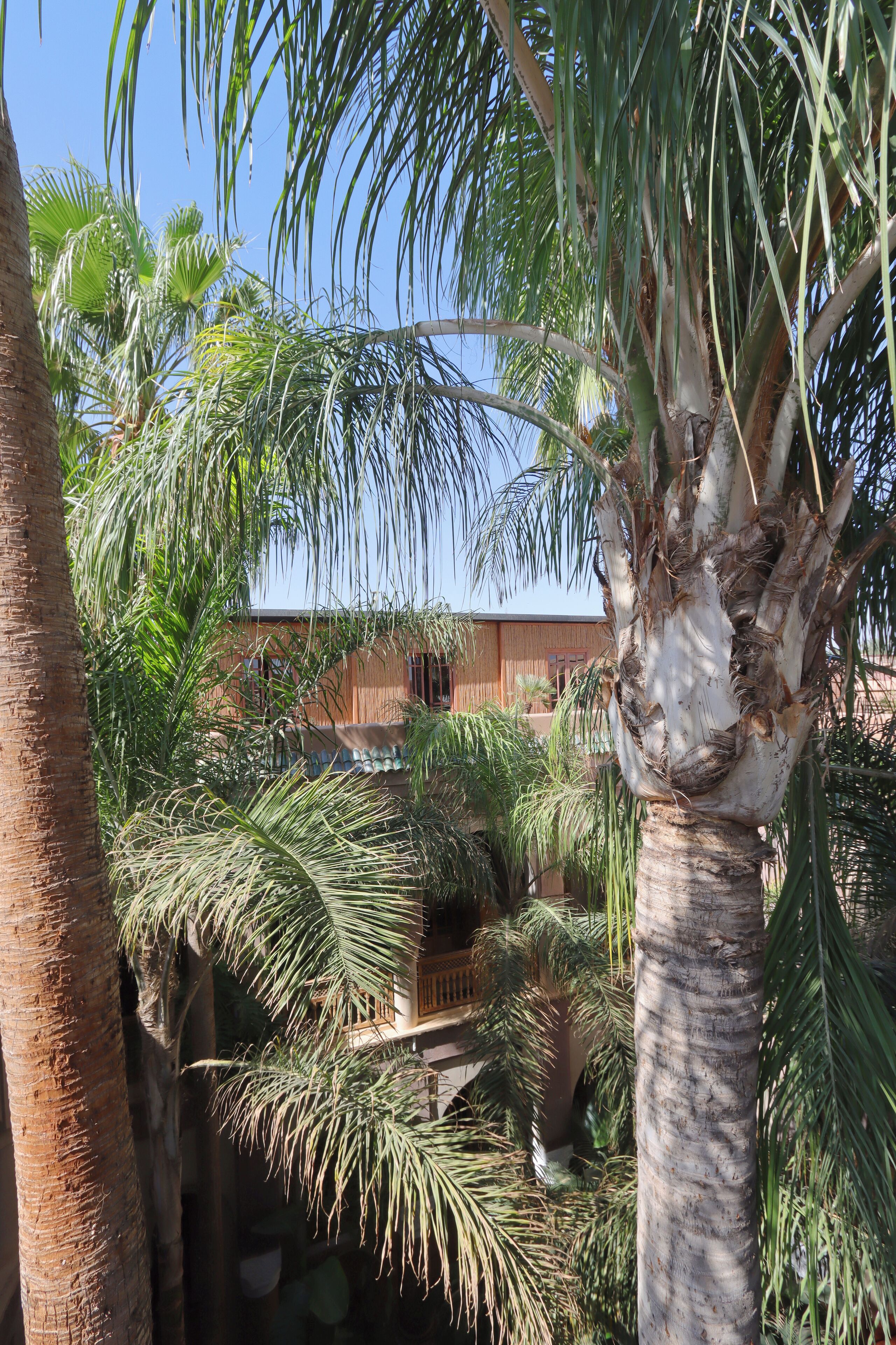 Foto - La Villa Nomade