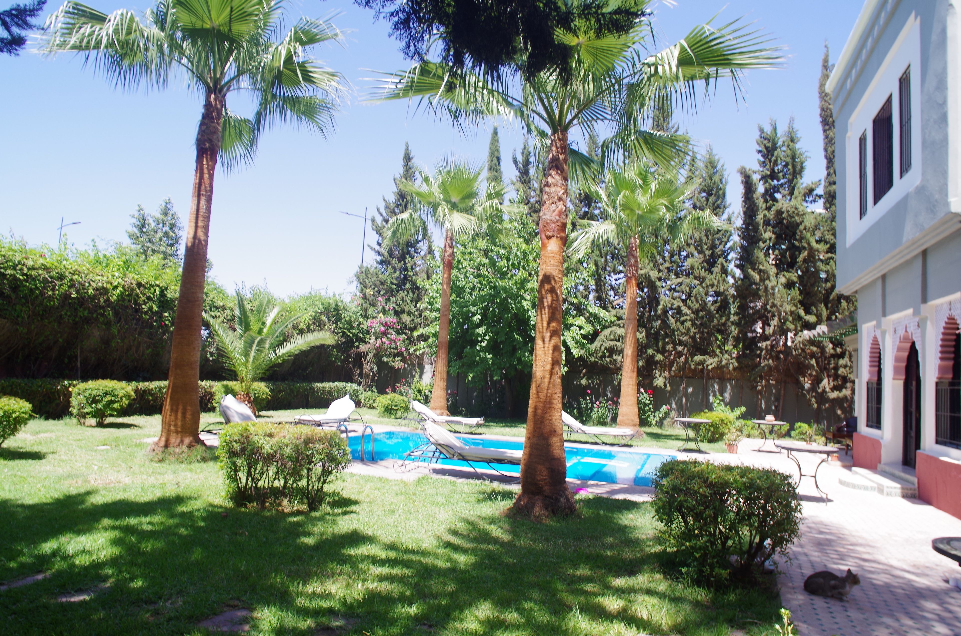 Zona de piscina con sillones de descanso, palmeras y un edificio de fachada roja y blanca.
