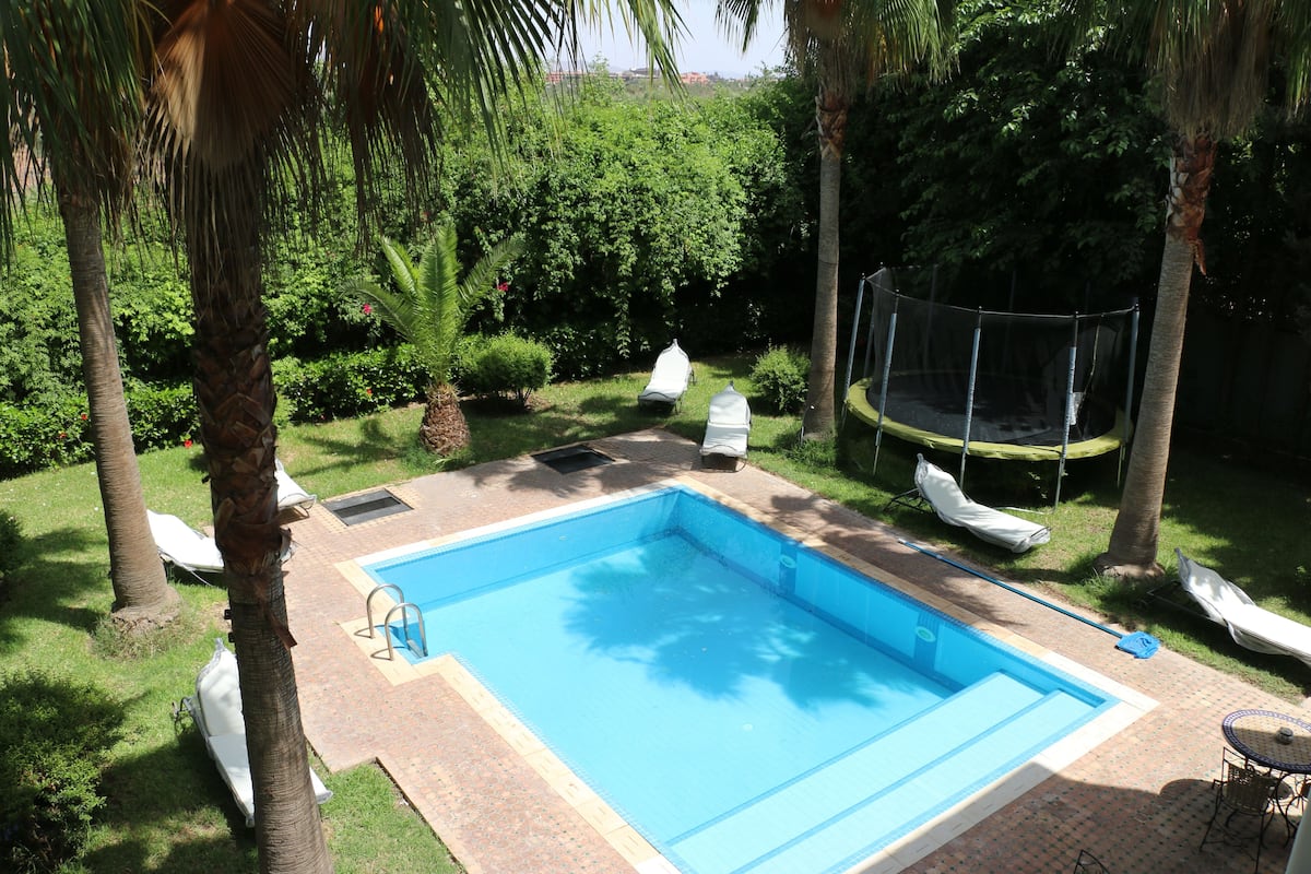 Una piscina rectangular con borde de azulejos, rodeada de palmeras y abundante vegetación.