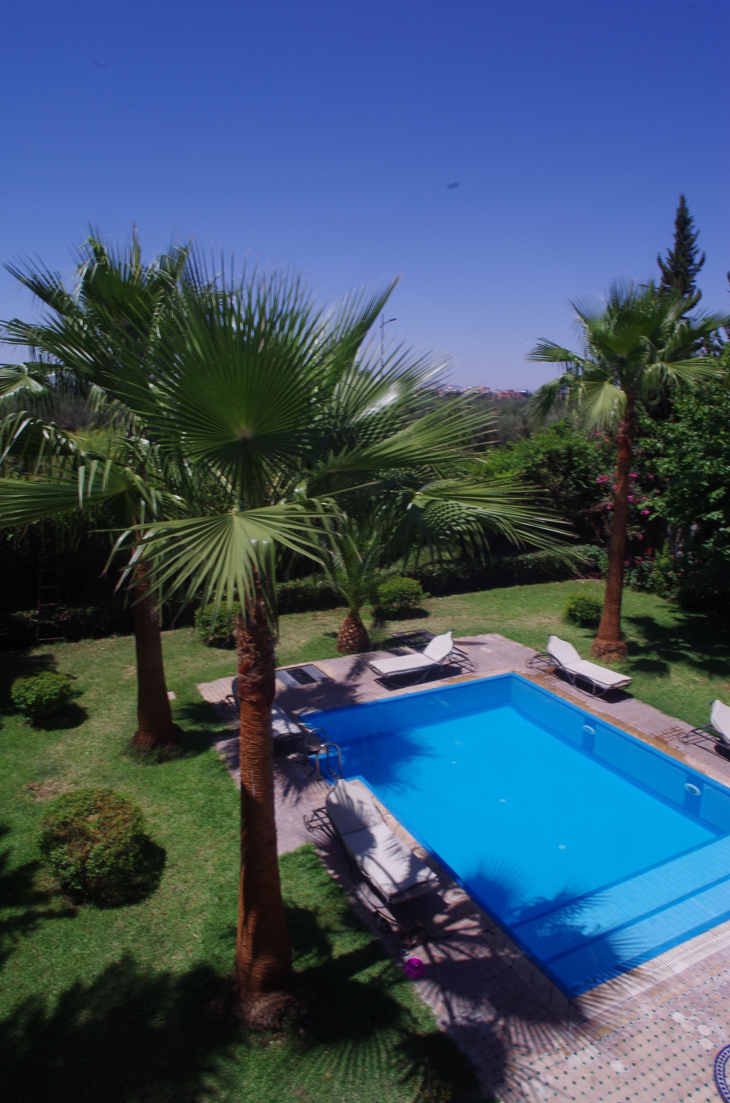 Outdoor pool, pool umbrellas, pool loungers