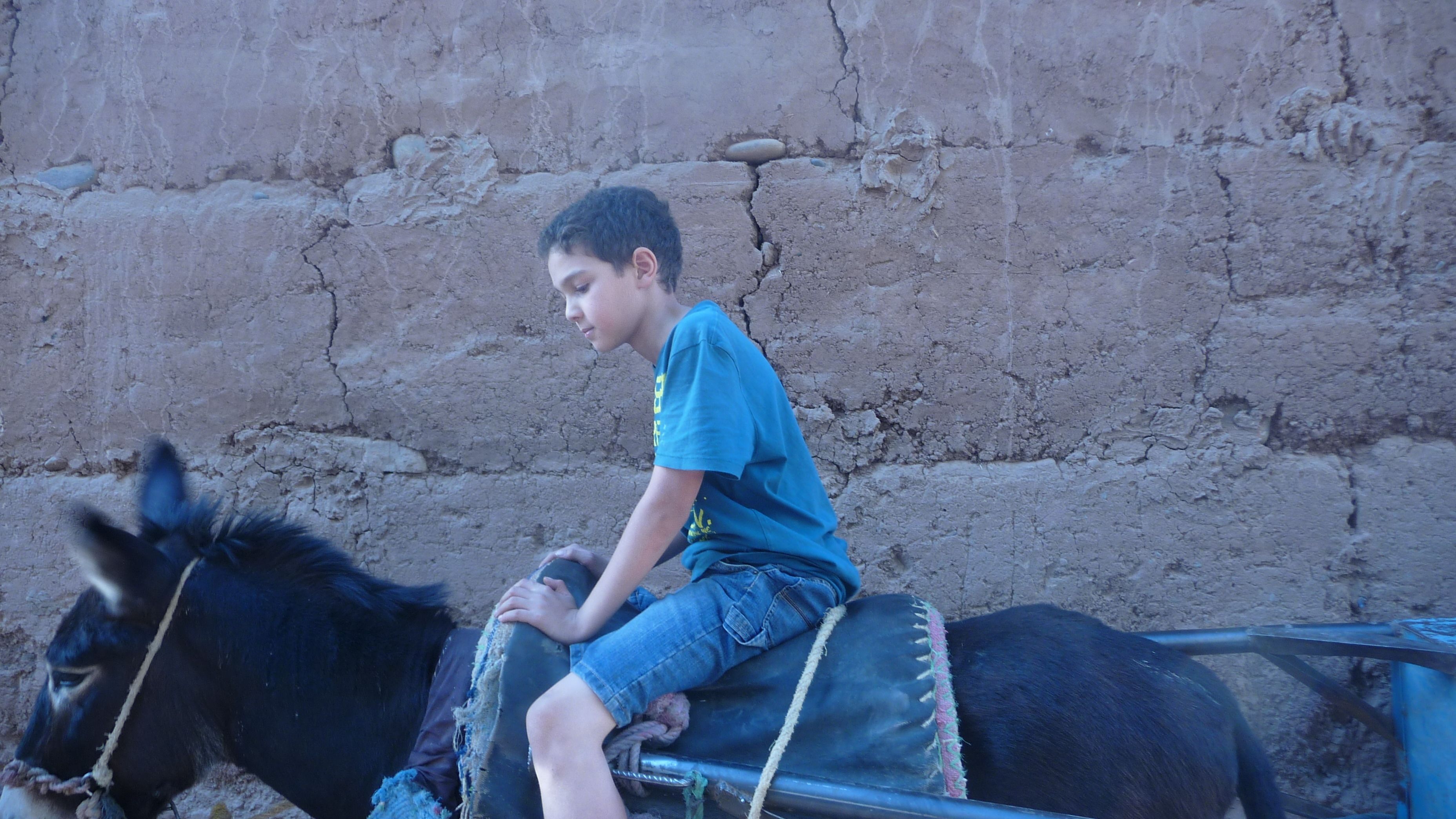 Foto - Hôtel Narjisse