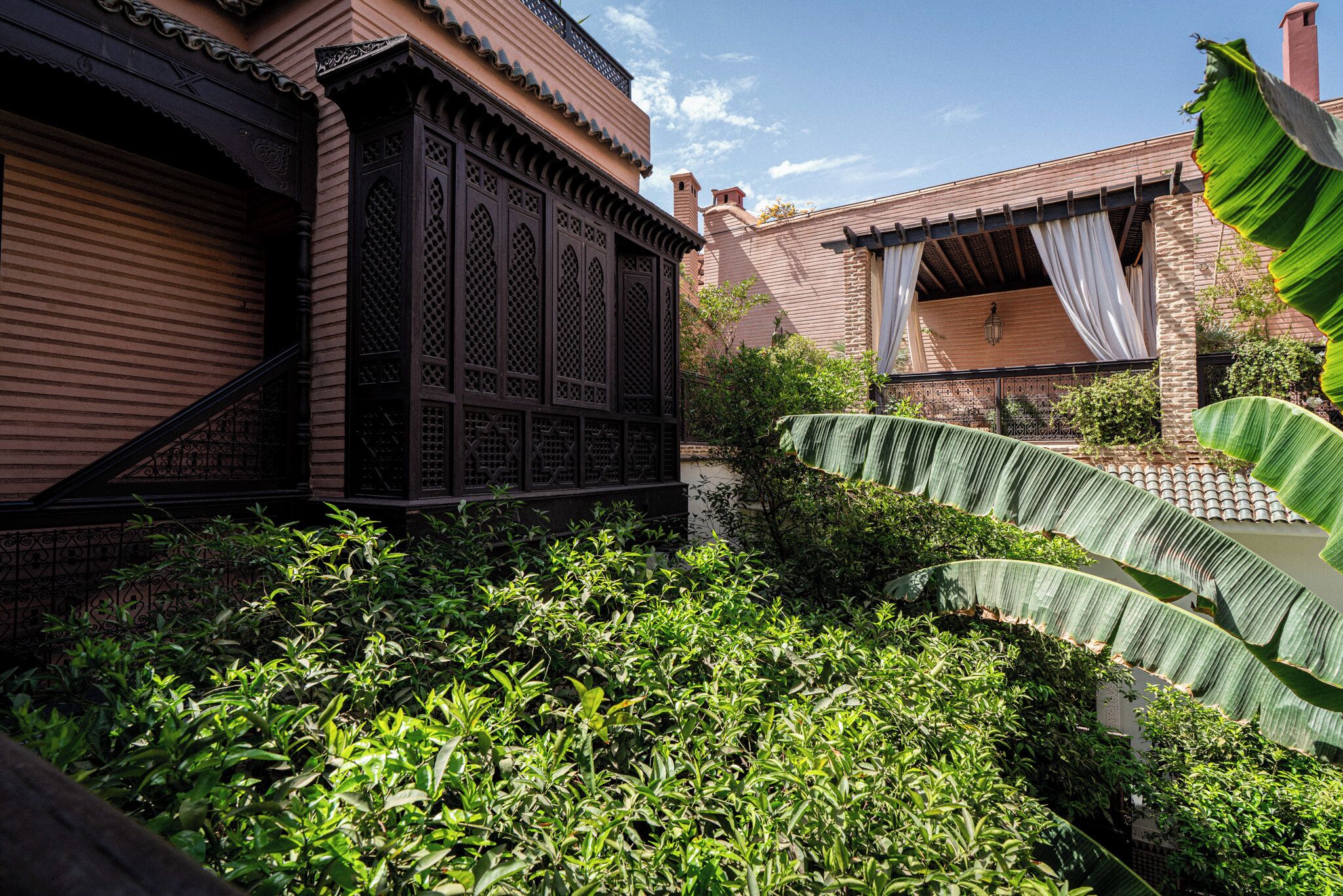 Photo - Riad ILayka