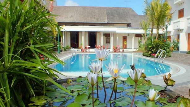 A swimming pool with water lilies, surrounded by lush greenery and a building with a covered patio area. - Kresna (Wonosobo)