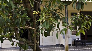 Silver Villa (Ruby) | Terrace/patio - Villa Pondok Terra (Yogyakarta)