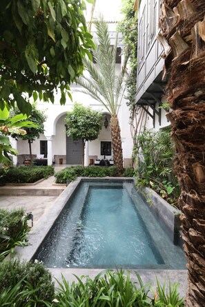 Outdoor pool, pool umbrellas, pool loungers