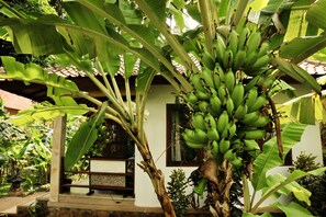 Romantic Bungalow, Garden View | Terrace/patio