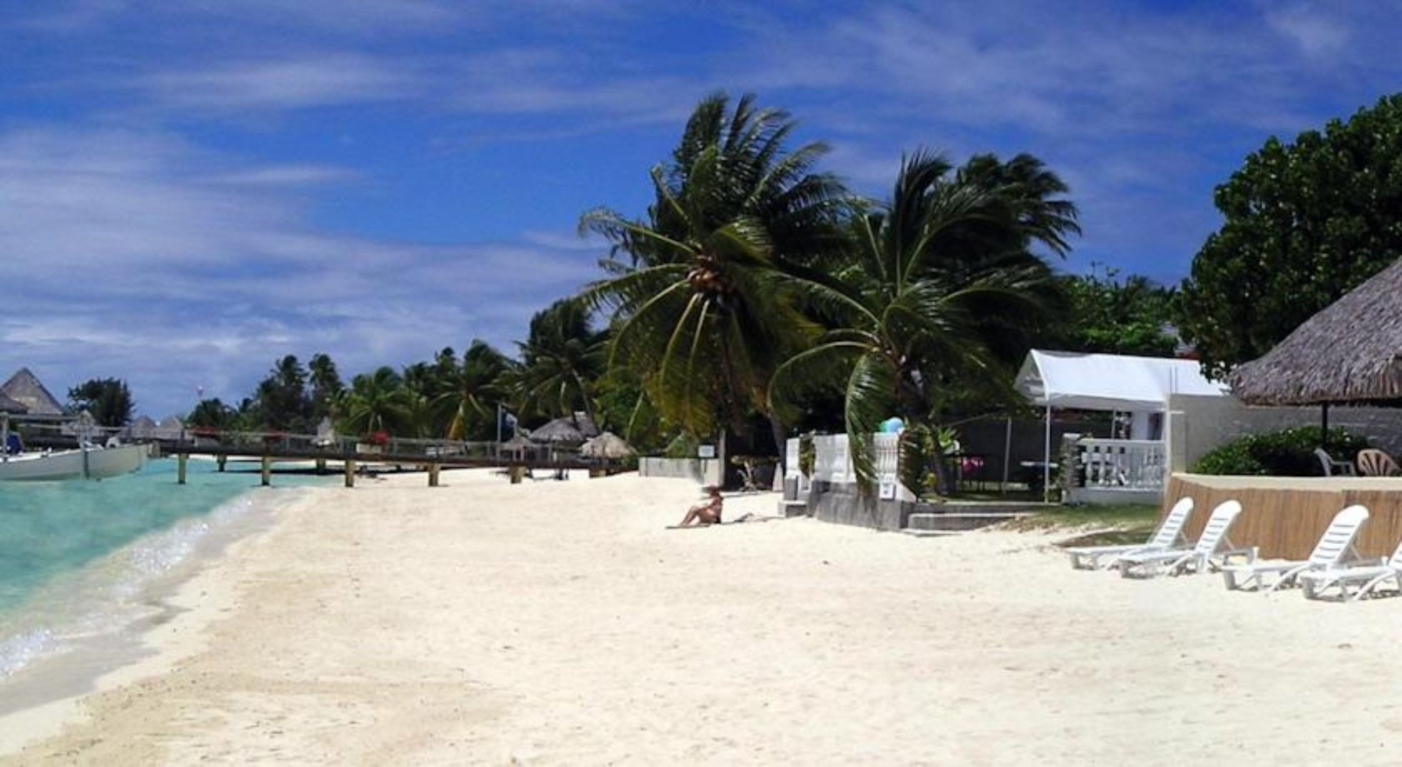 Una playa con arena blanca, palmeras y una estructura de techo de paja.