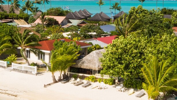 A beachside resort with thatched-roof huts, palm trees, and clear turquoise waters. - Village Temanuata (Bora Bora)