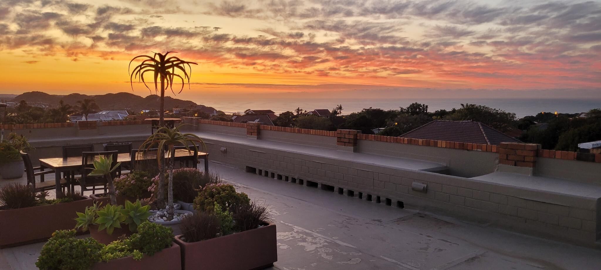 A rooftop terrace with a view of the sunset over the ocean, surrounded by greenery and a brick wall.
