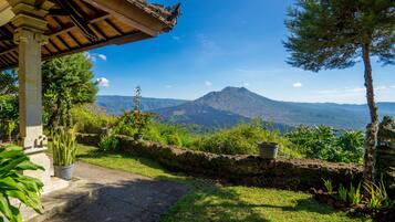 Chambre Premium | Terrasse/Patio