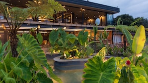 A modern building with a pool and lush greenery. - Termales del Otoño (Villamaria)