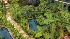 An indoor garden with a central pool surrounded by lush ferns and tropical plants. - Termales del Otoño (Villamaria)