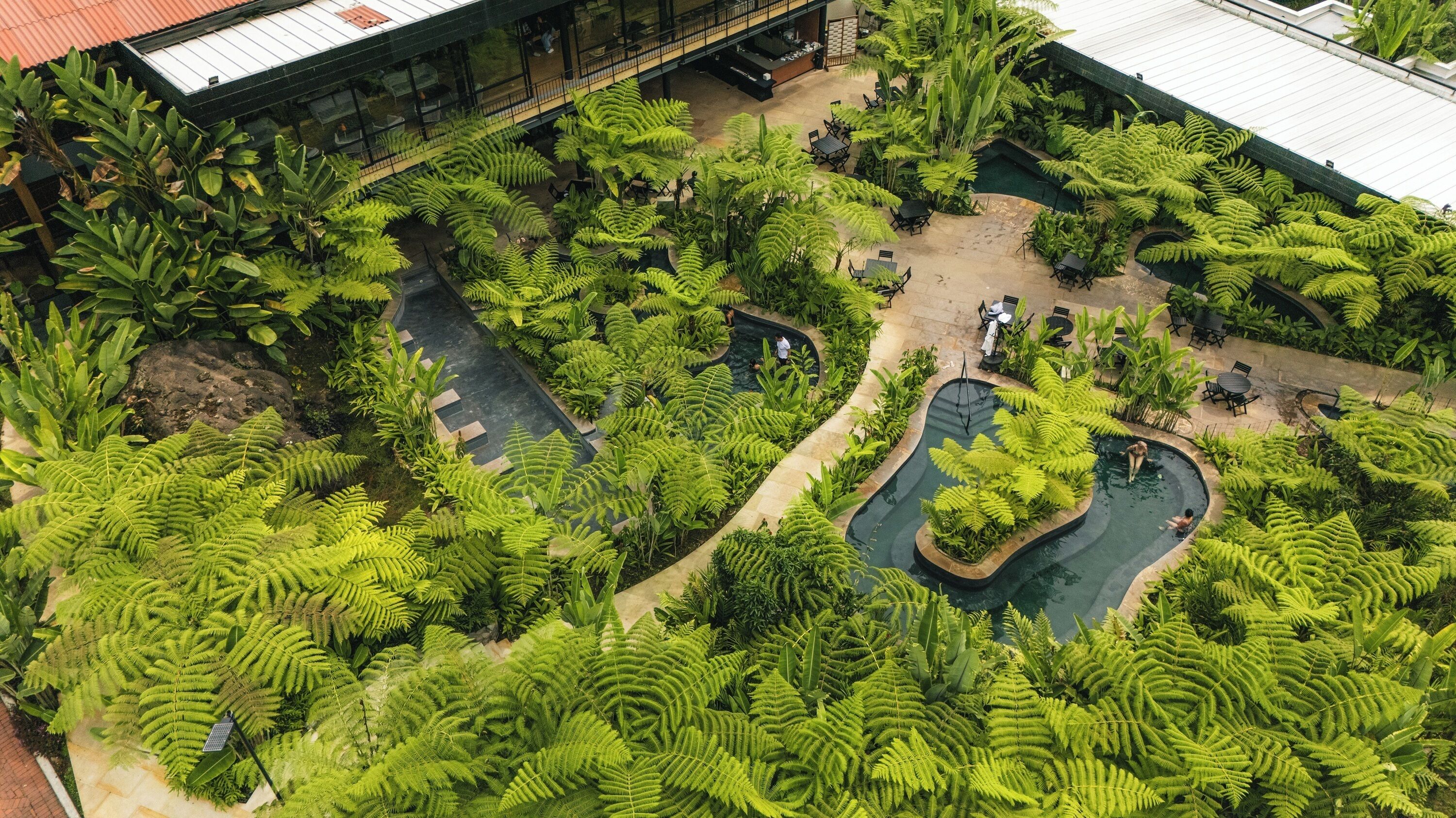 Vue aérienne d’un jardin intérieur luxuriant, avec une piscine centrale, entouré de diverses plantes et d’espaces aménagés pour s’asseoir.