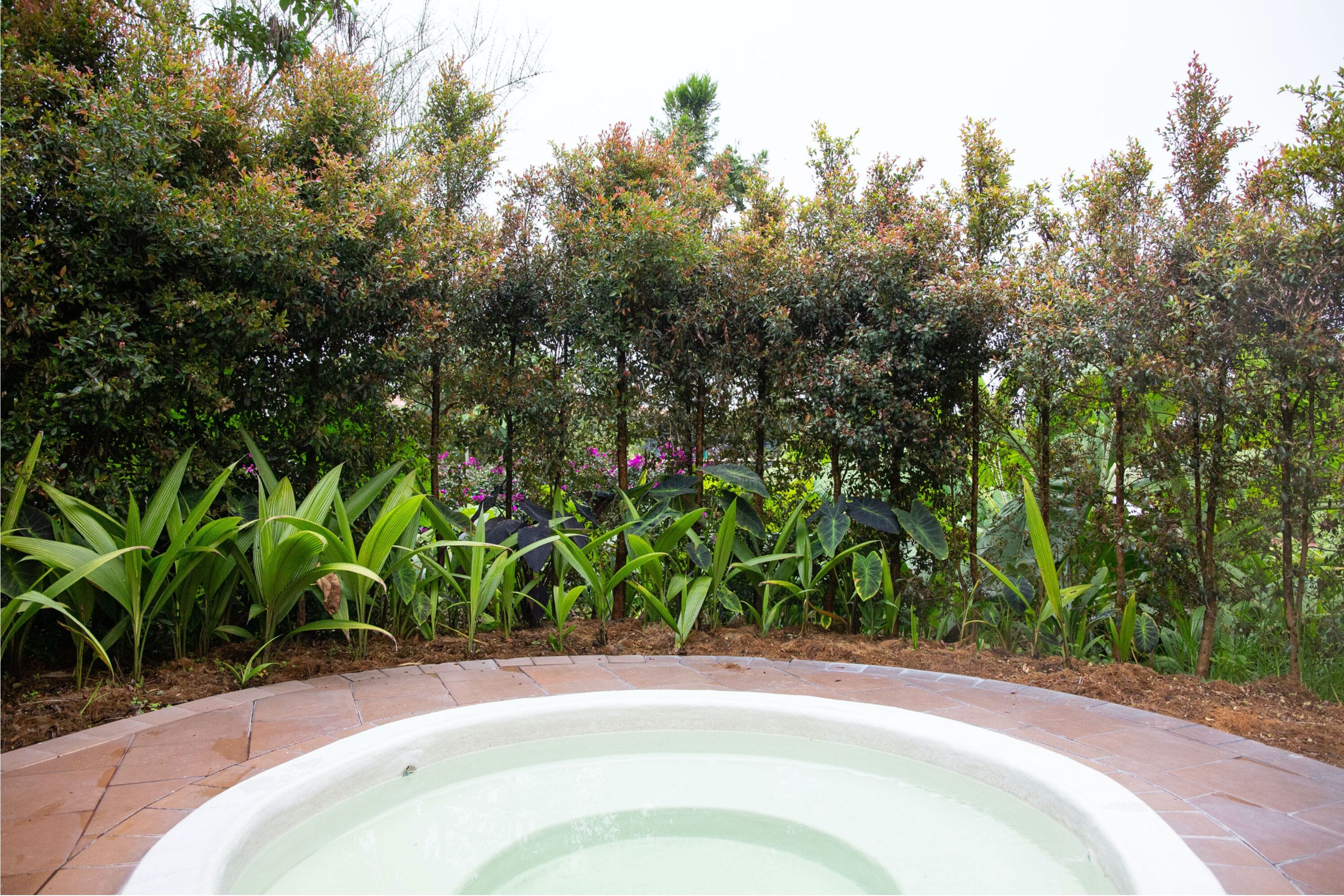 suite | soundproofing, free wifi, bed sheets