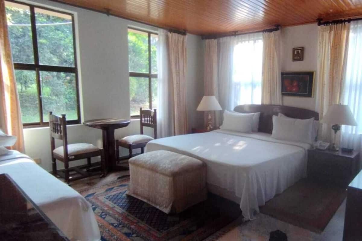 Een minibar, gratis wifi, beddengoed