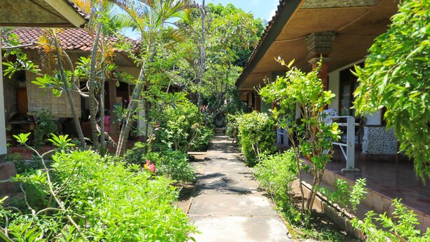 A narrow concrete pathway flanked by lush greenery and traditional architecture. - Mertha Jati Hotel & Bungalow (Kuta)
