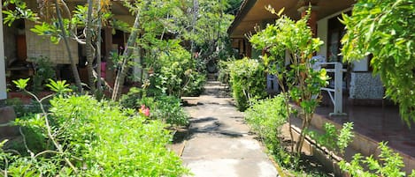 Jardin