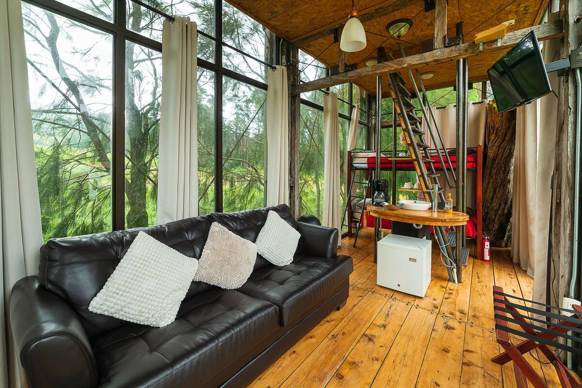 A cozy cabin with a leather sofa, wooden floors, and large windows offering a view of the forest.