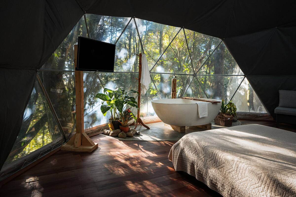 A tented room with a bathtub, a bed, and potted plants.