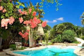 A swimming pool surrounded by lush greenery and a thatched-roof structure. - Flying Crocodile (Sámara)