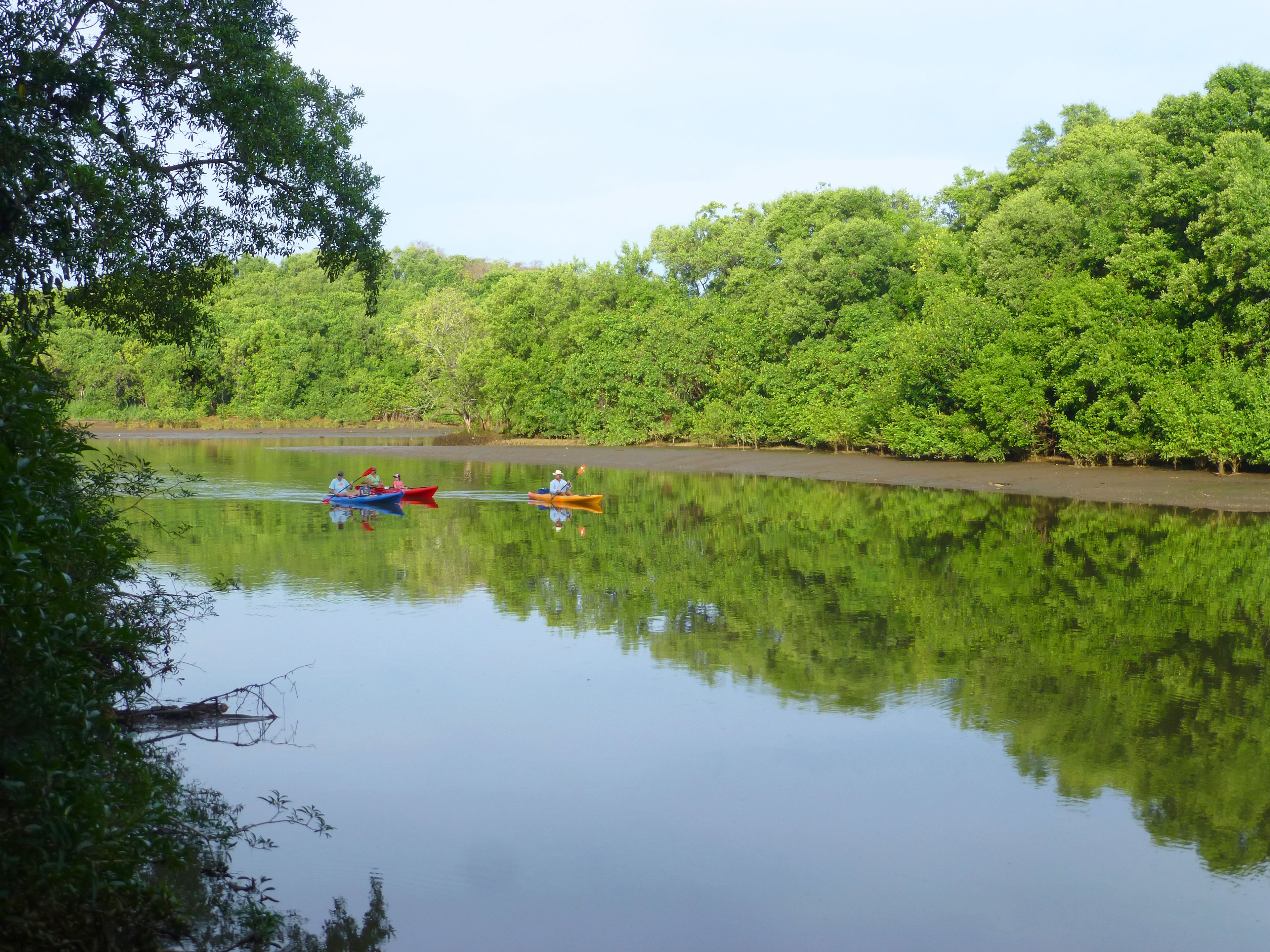 Un río tranquilo con kayaks y un bosque denso en sus orillas.