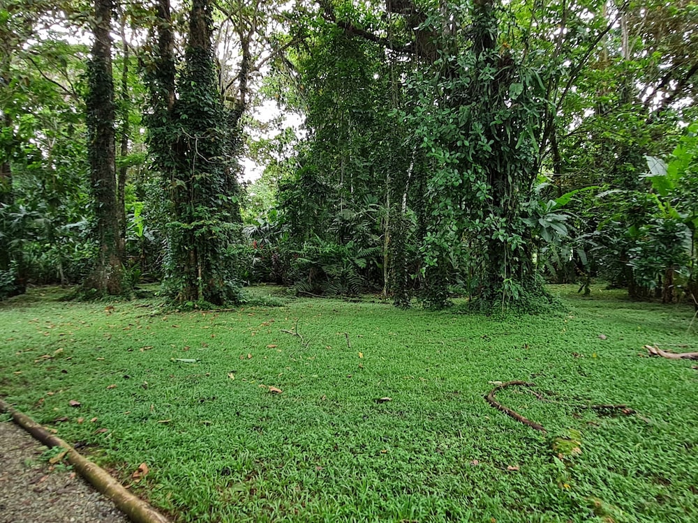 Ciudad Perdida Ecolodge by null