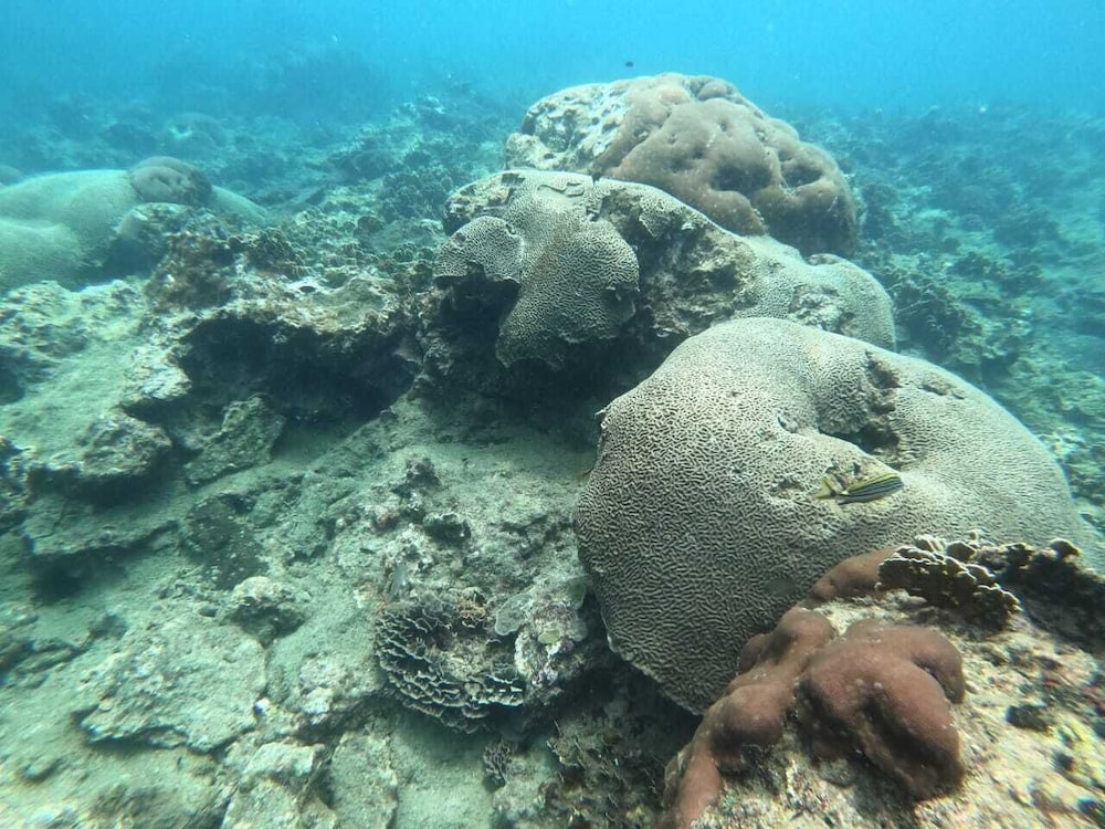 Ciudad Perdida Ecolodge by null
