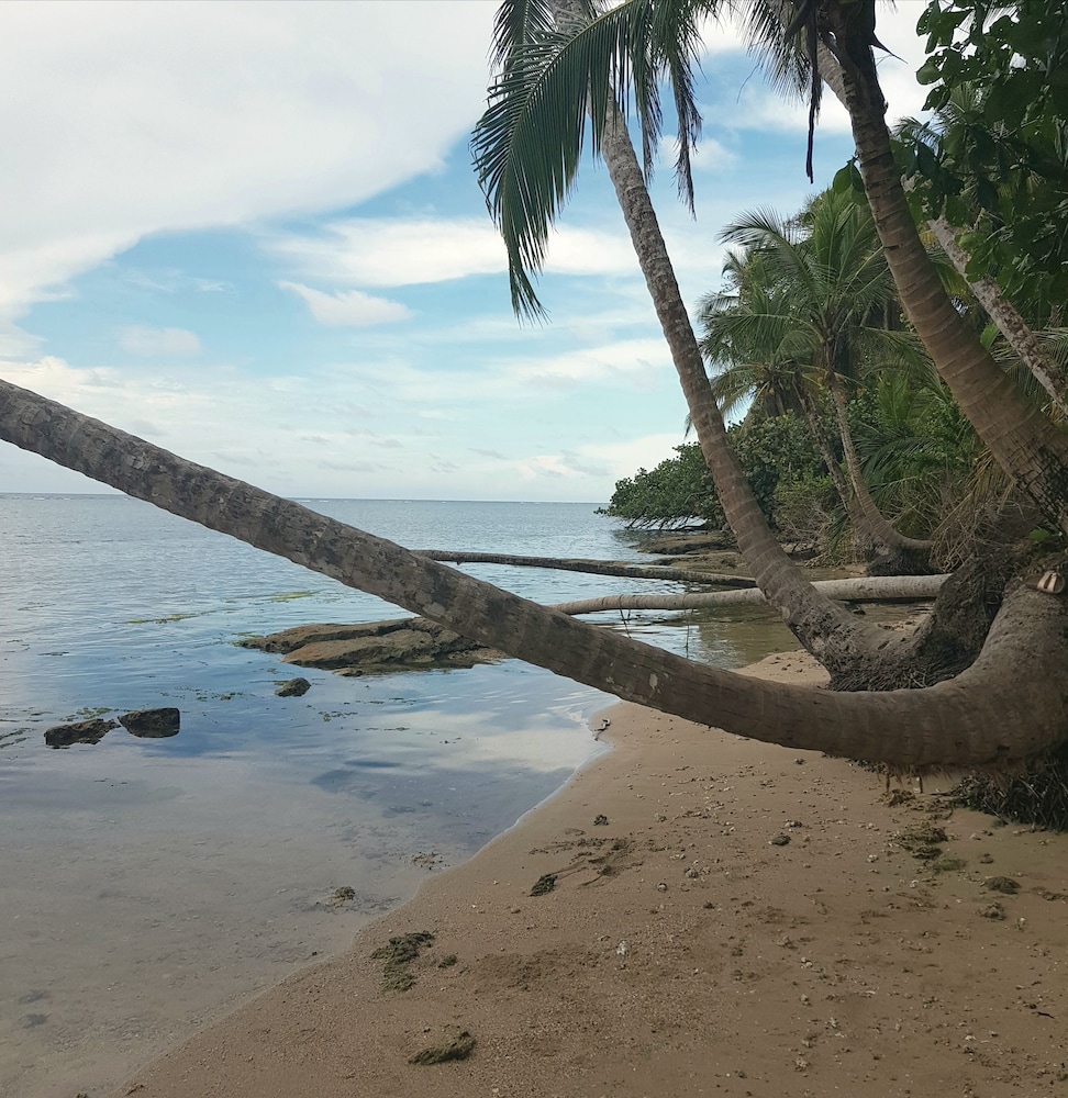 Ciudad Perdida Ecolodge by null