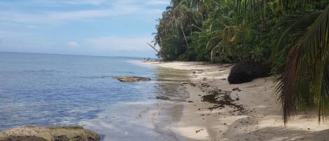 Playa en los alrededores