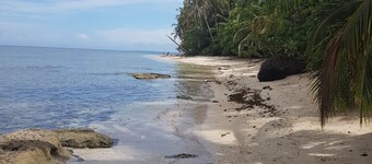 失落城市生态小屋