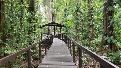 Ciudad Pérdida Ecolodge